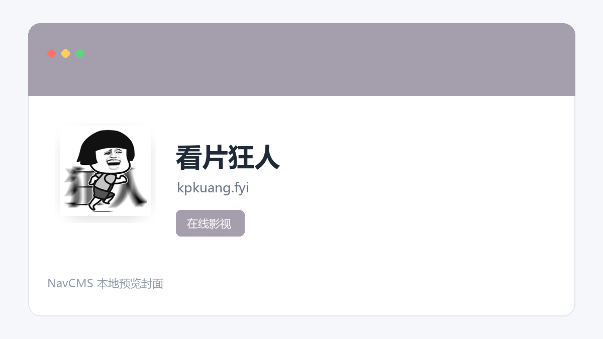 看片狂人 网站预览截图