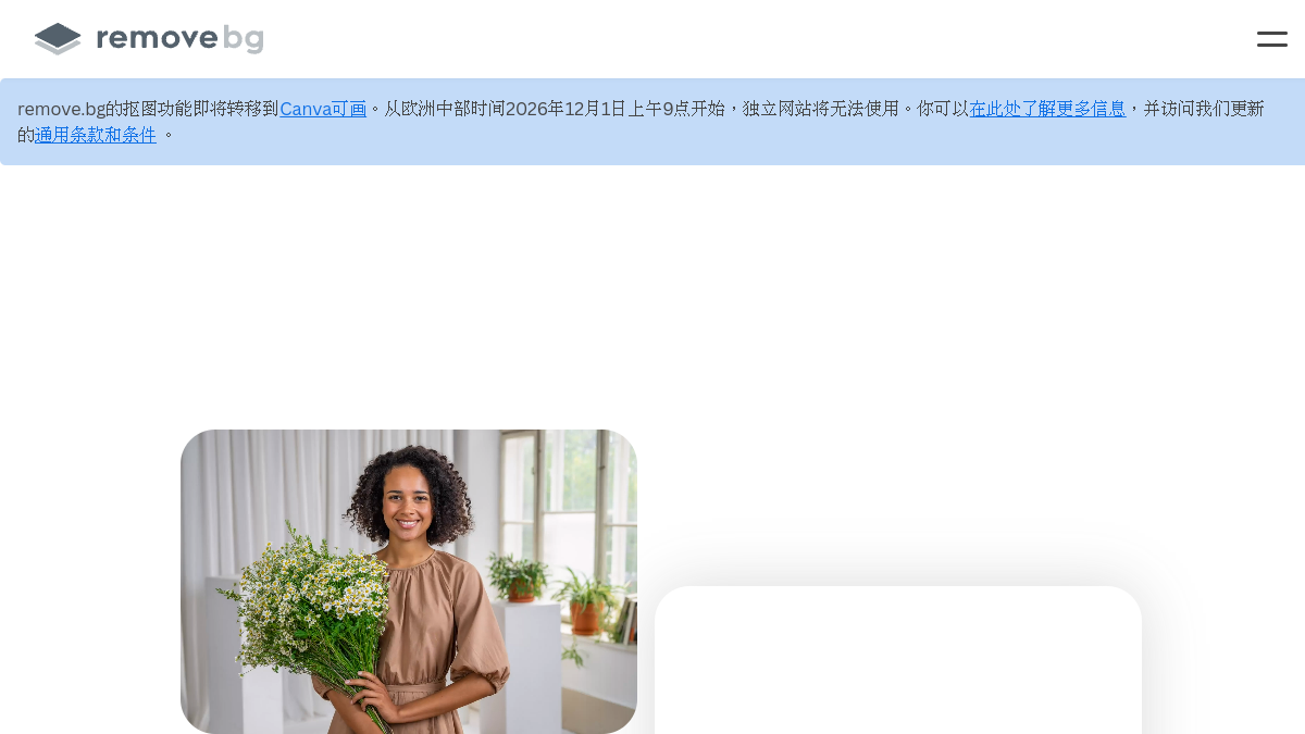 Removebg 网站预览截图