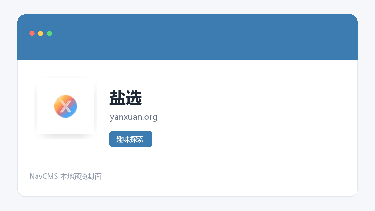 盐选 网站预览截图