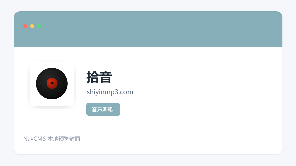 拾音 网站预览截图