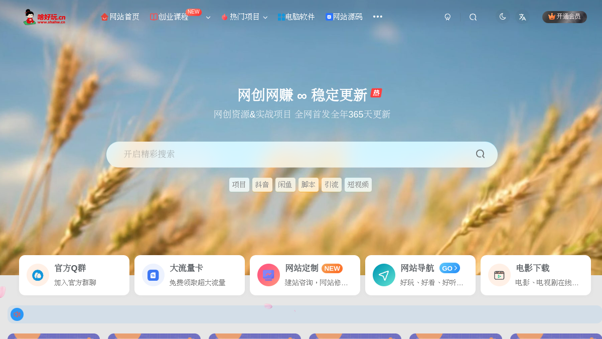 啥好玩 网站预览截图