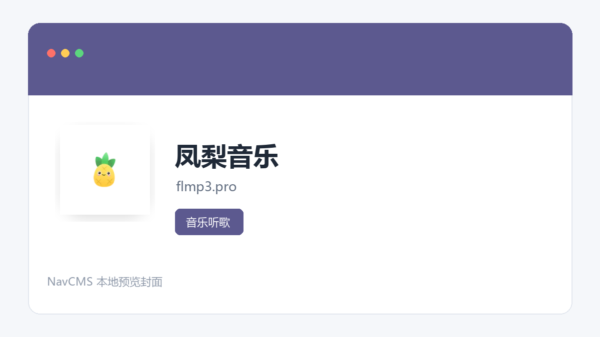 凤梨音乐 网站预览截图