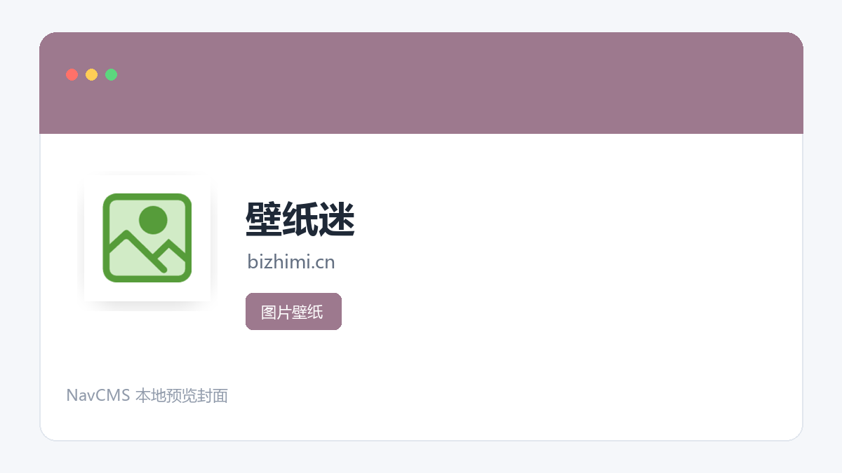 壁纸迷 网站预览截图