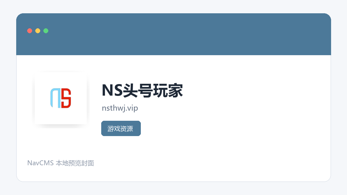 NS头号玩家 网站预览截图