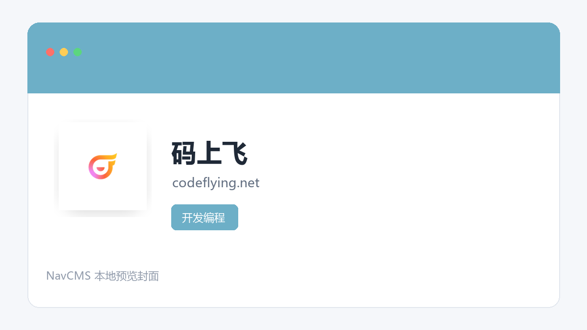 码上飞 网站预览截图
