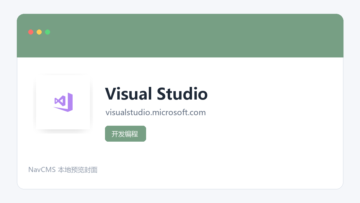 Visual Studio 网站预览截图