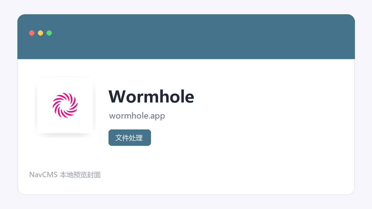 Wormhole 网站预览截图