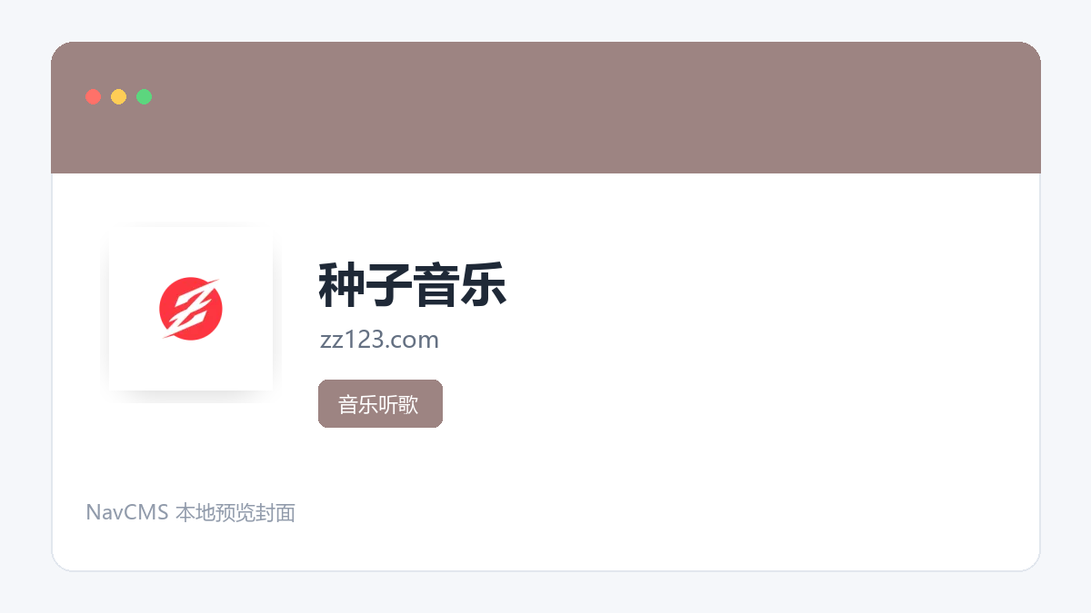 种子音乐 网站预览截图